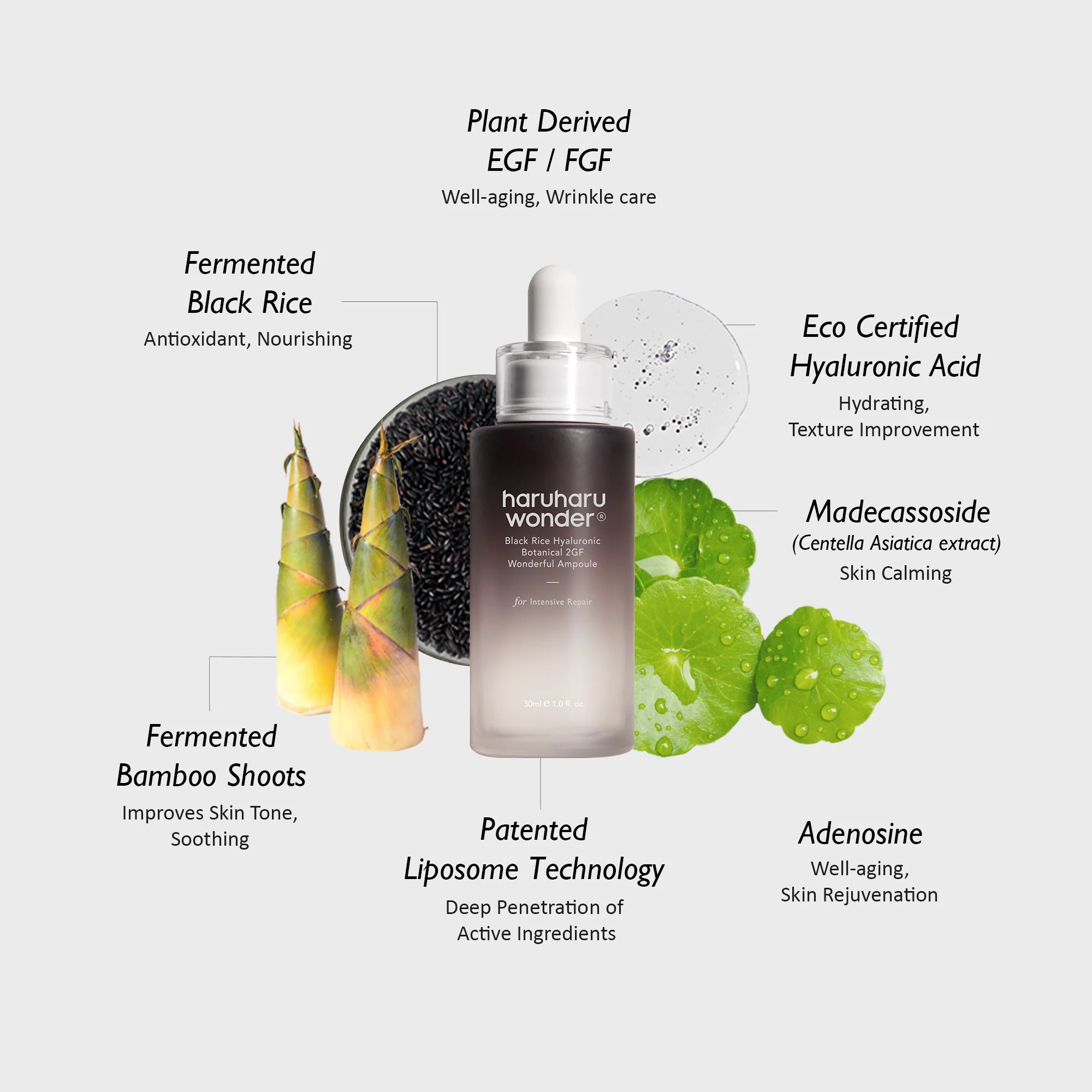 Haruharu Wonder Black Rice Botanical 2GF Ampoule (30ml) - Image 5