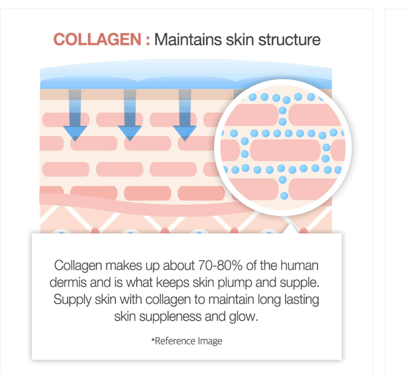 Medicube Triple Collagen Cream (50ml) - Image 4